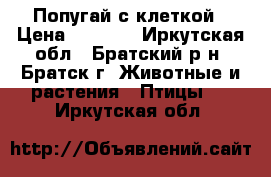 Попугай с клеткой › Цена ­ 1 600 - Иркутская обл., Братский р-н, Братск г. Животные и растения » Птицы   . Иркутская обл.